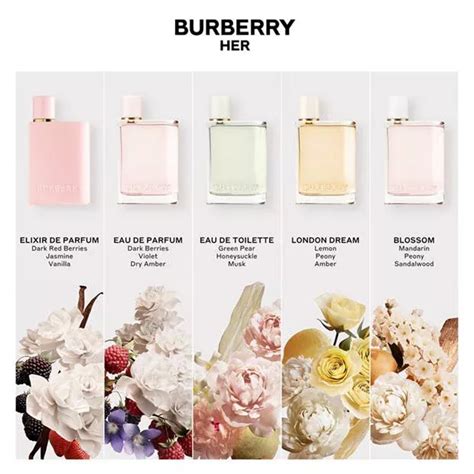 camnicie donna burberry|burberry woman perfume for women.